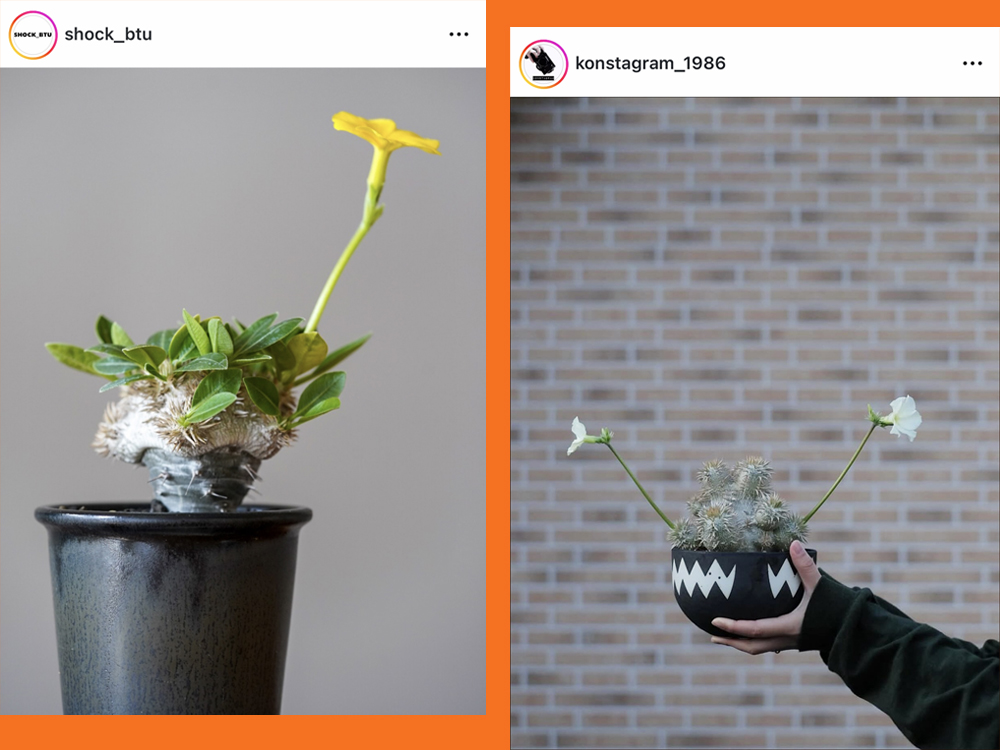 恵比寿笑いのInstagram投稿1