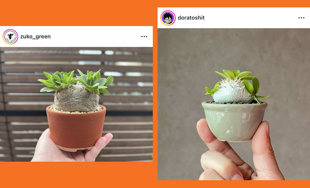 恵比寿笑いのInstagram投稿2