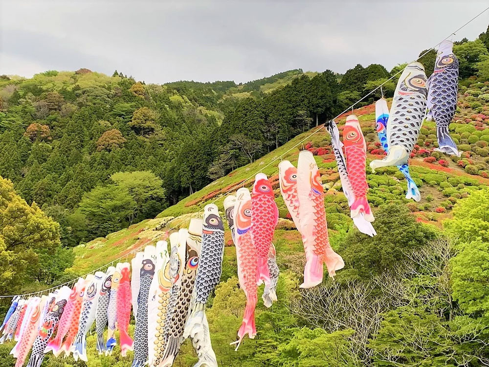 姫の沢公園「つつじ・こいのぼりまつり」こいのぼり