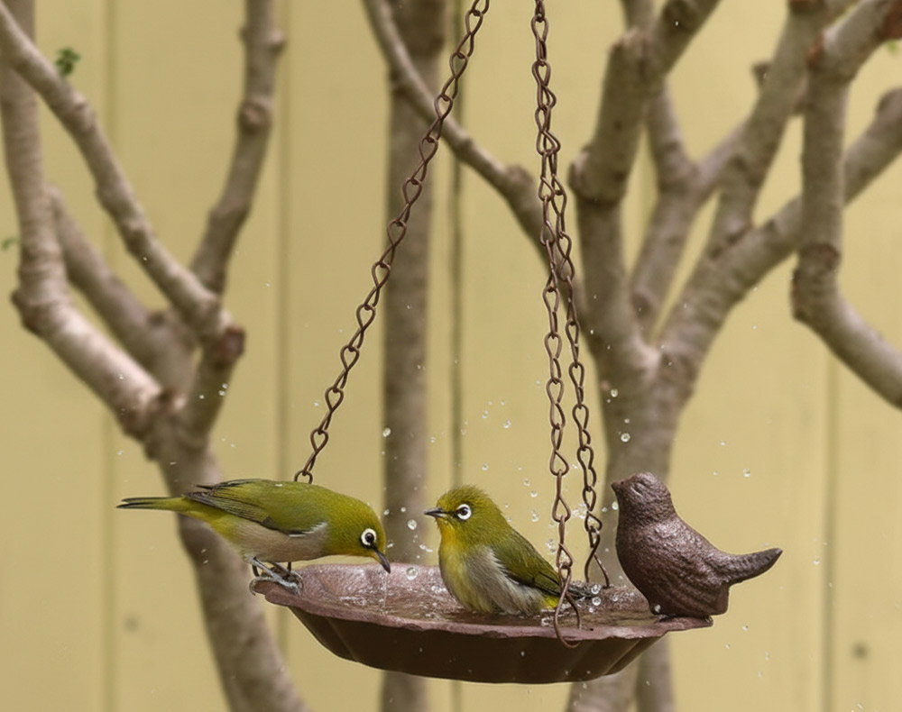 Scene 1：静謐な庭に動きを演出するバードバス