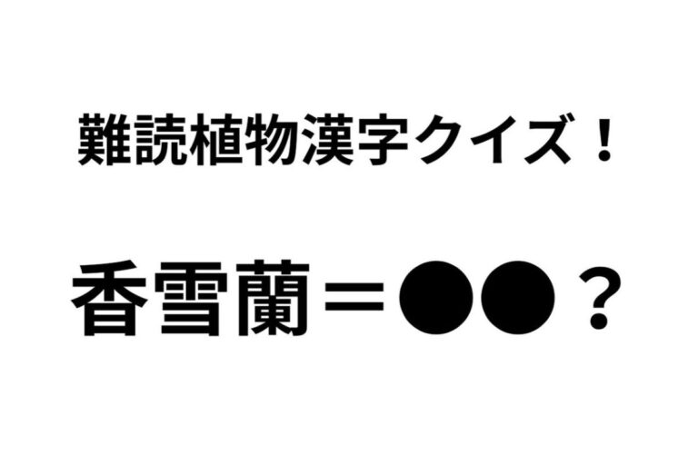 「香雪蘭」ってなんて読む? 正解できたらすごい難読植物名漢字クイズ【Let’s Try! 植物クイズ】Vol.37