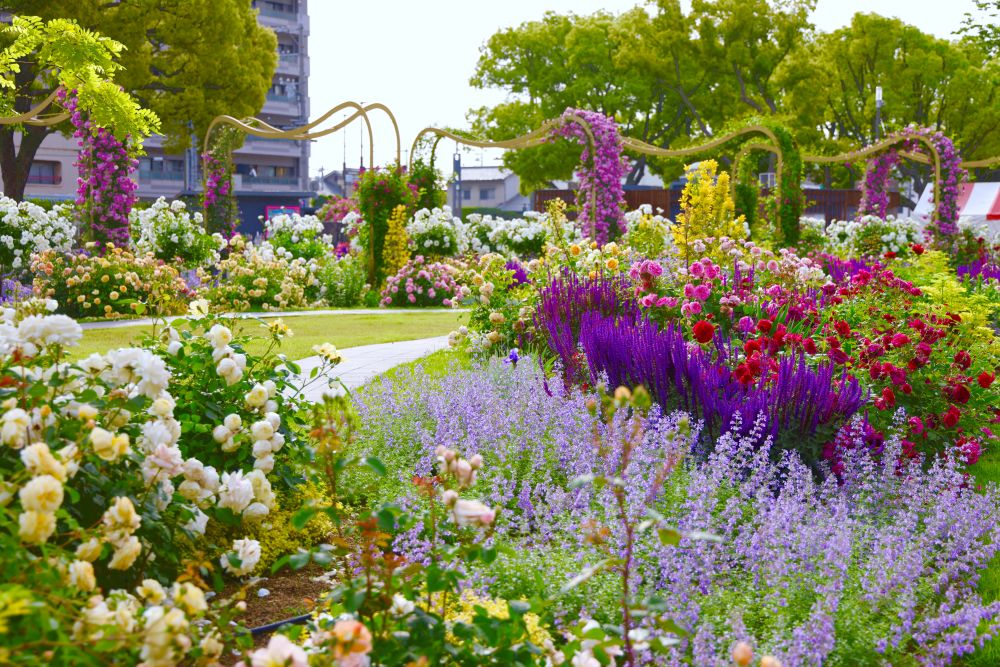 福山 ばら公園