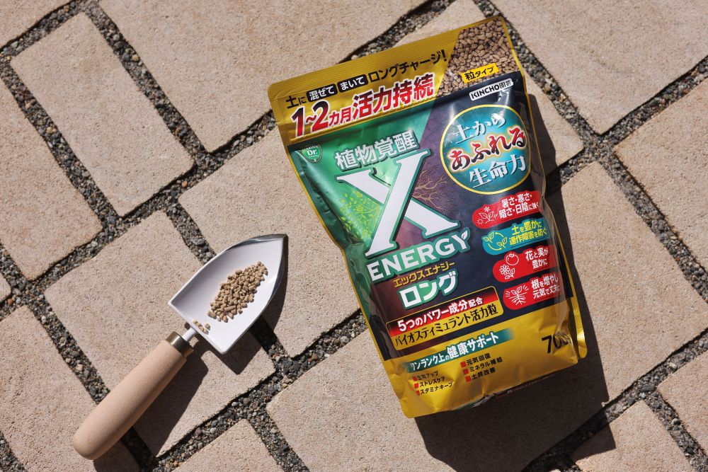 「X-ENERGYロング 粒タイプ」