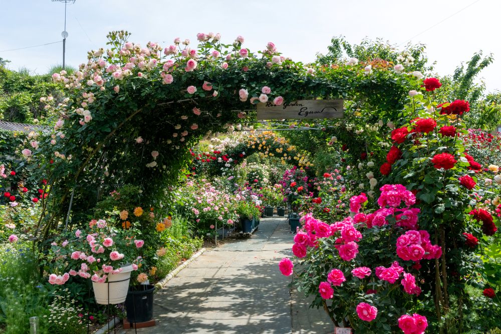 福山ガーデンツーリズム