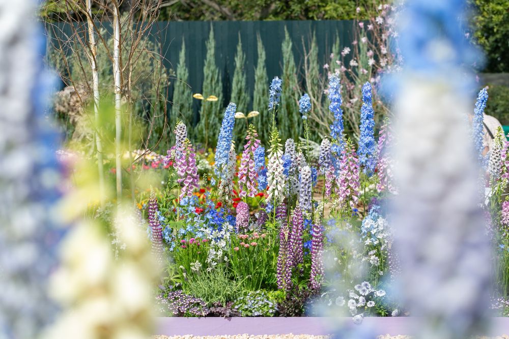Fukuoka Flower Show 2026