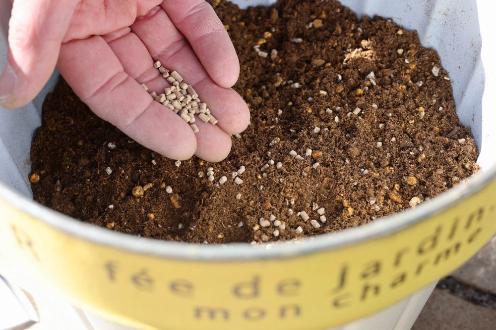 「X-ENERGYロング 粒タイプ」