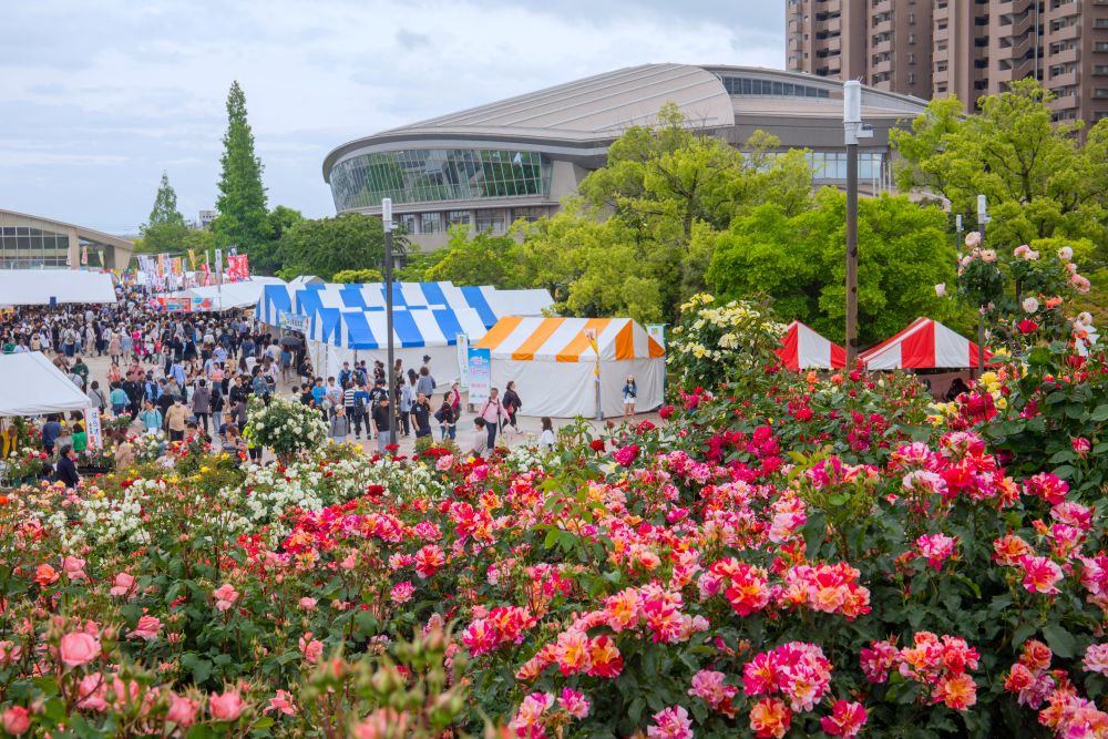福山通運ローズアリーナ周辺のばら祭