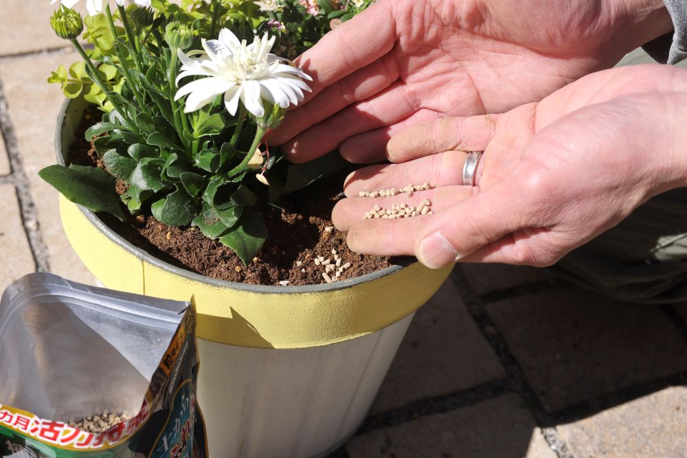 「X-ENERGYロング 粒タイプ」