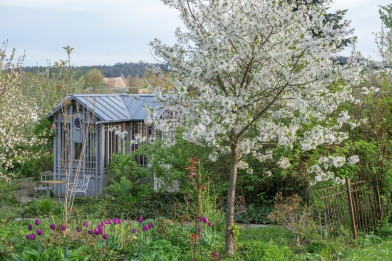 【ガーデナーの春の庭仕事】捨てるはずの剪定枝を活用する「エコな垣根」と失敗しない宿根草選び