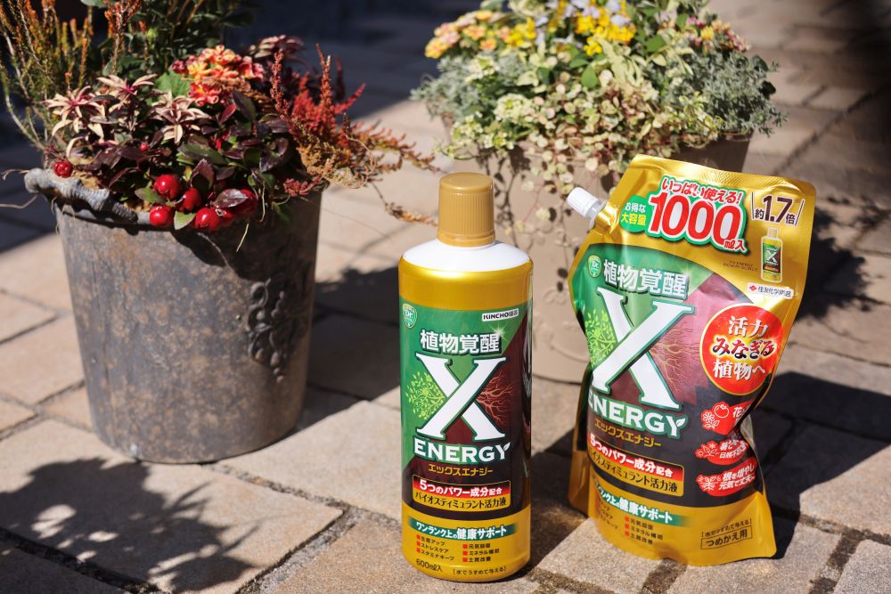 「X-ENERGY」（水で薄めるタイプ）