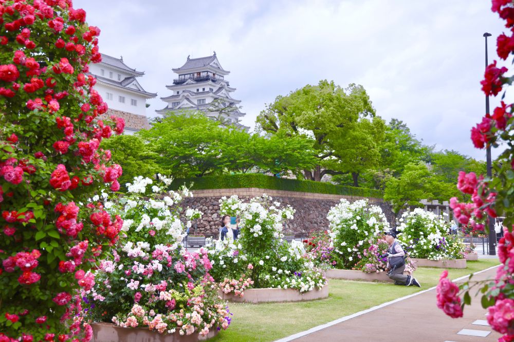 福山城公園