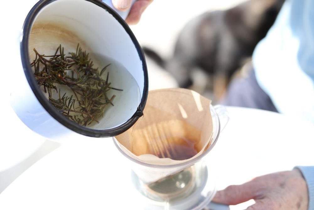 手作りローズマリーウォーター