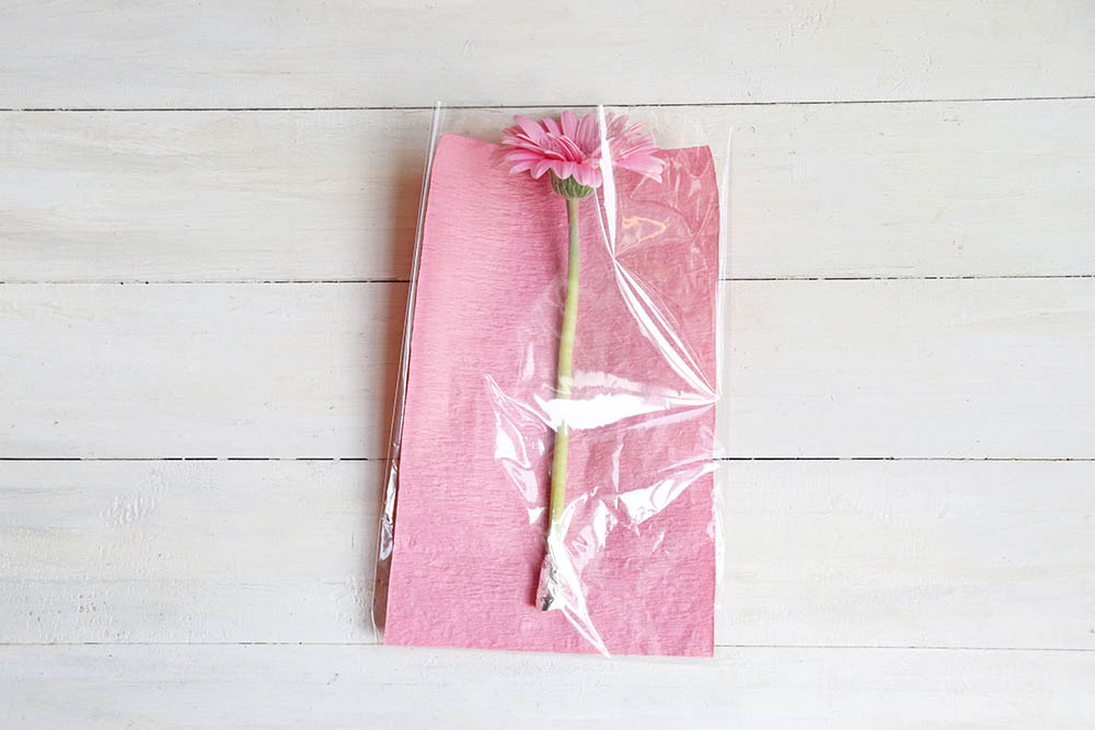 クリアバッグに花を入れる