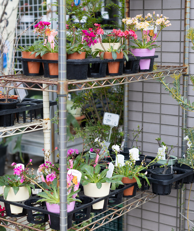 ガーデニングステージ