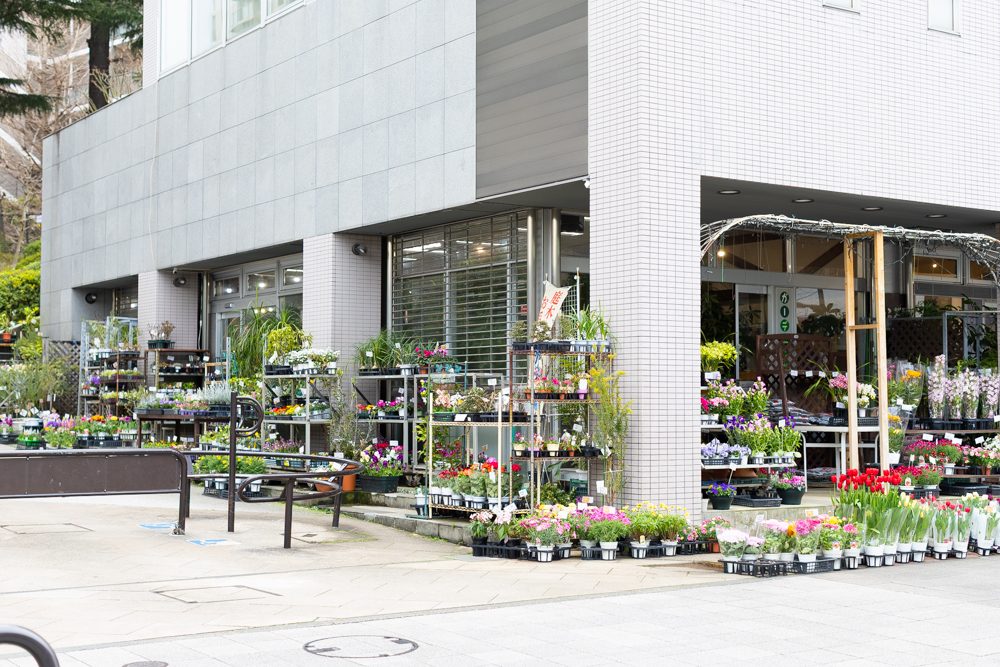 ガーデニングステージ