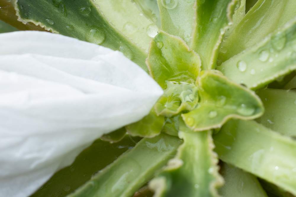 溜まった水を吸いとる