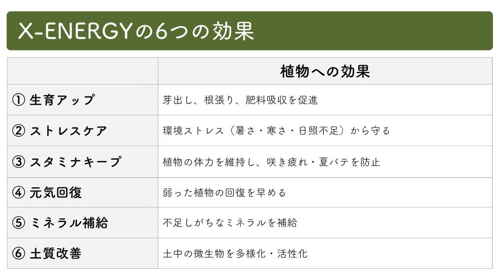 X-ENERGYの効果