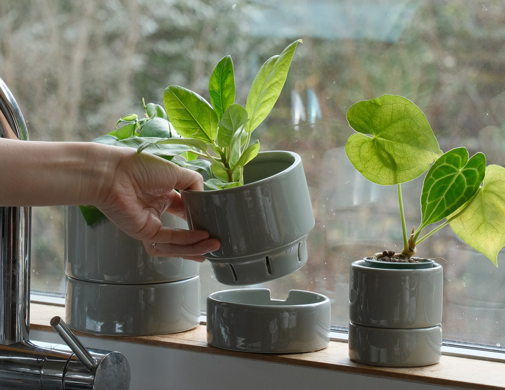 製品名：すーさん／材質：陶器
鉢底に小さい穴と、側面にスリットが入った底面給水鉢。オンラインでは発売からすぐに人気が出て、「こういうのを探していた！」と喜ぶ声も。食虫植物に最適で、肥料がなくても大きく育ちます。お皿に水を入れなければ、観葉植物にも使えます。