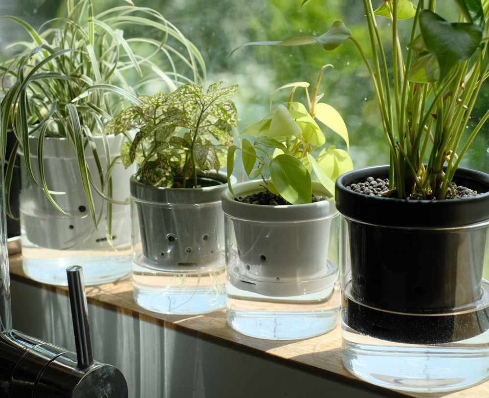 製品名：根っこさん／材質：陶器、ガラス
屋内で小さめの観葉植物は生長が分かりづらいため、根の生長を楽しめるようにと考えられた商品。視覚的に植物とコミュニケーションが取れて、愛着も湧きます。