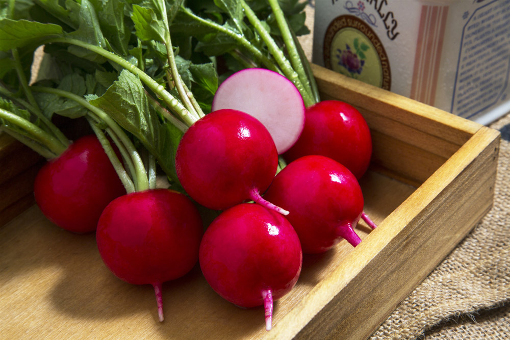 タキイ種苗おすすめの野菜の一つ、赤丸二十日ダイコン「ニューコメット」。生育が早く、そろいの良い品種。葉がコンパクトで密植が可能。サラダや塩漬け、酢漬けに向いています。