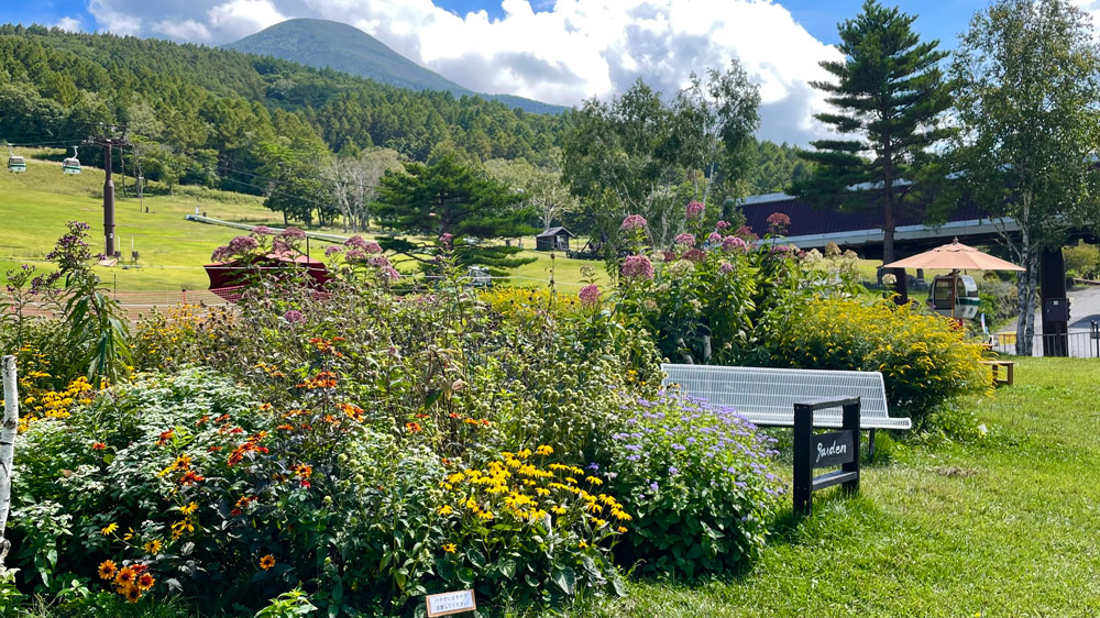 白樺高原国際スキー場のシカ避けビオトープガーデン。シカが嫌いな植物を蜜源にしてチョウやハナバチの仲間を呼び戻しています。（泉健司さん撮影）
