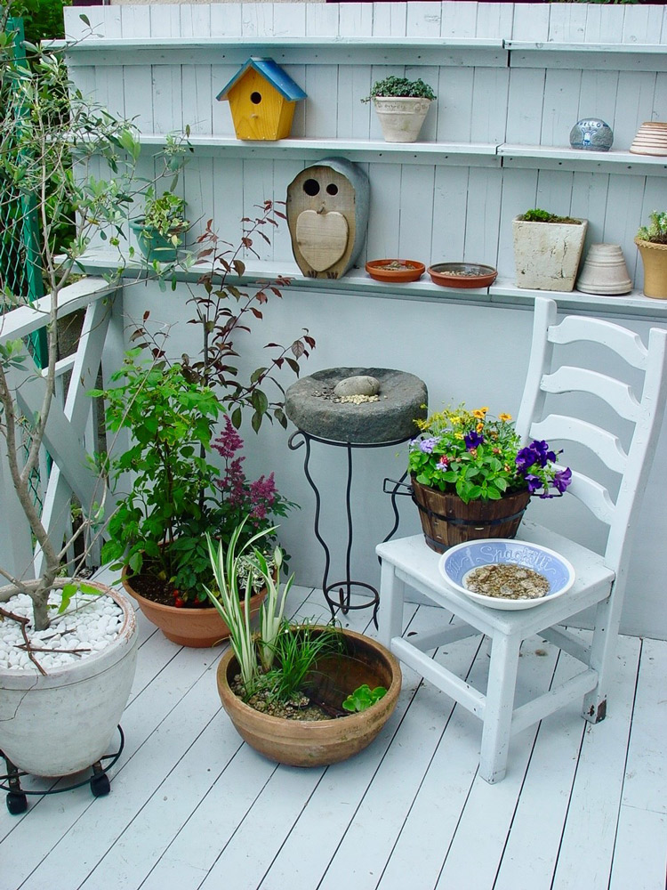 ベランダのビオトープガーデン。チョウや鳥の好きな植物と、トンボを呼ぶ睡蓮鉢で身近な自然にも優しく。（泉健司さん撮影）