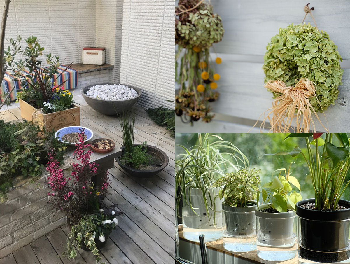 育てるだけじゃない園芸の4つの楽しみ方／ユニークな鉢の世界・・・〜園芸・ガーデニング業界最新情報をお届け〜