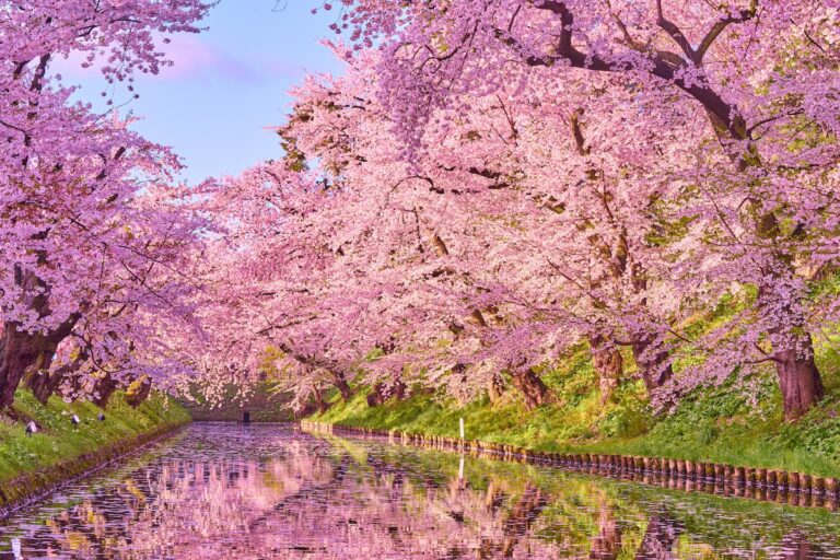 【二十四節気・春分】まもなく桜開花! 一度は訪れたい春の絶景スポット25選