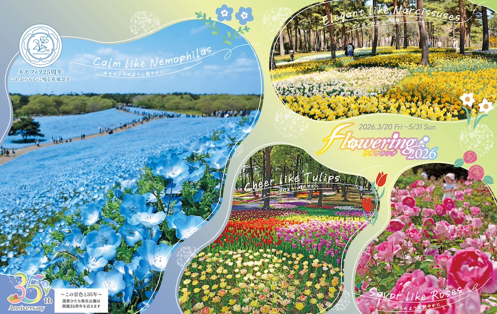 国営ひたち海浜公園「Flowering2026」