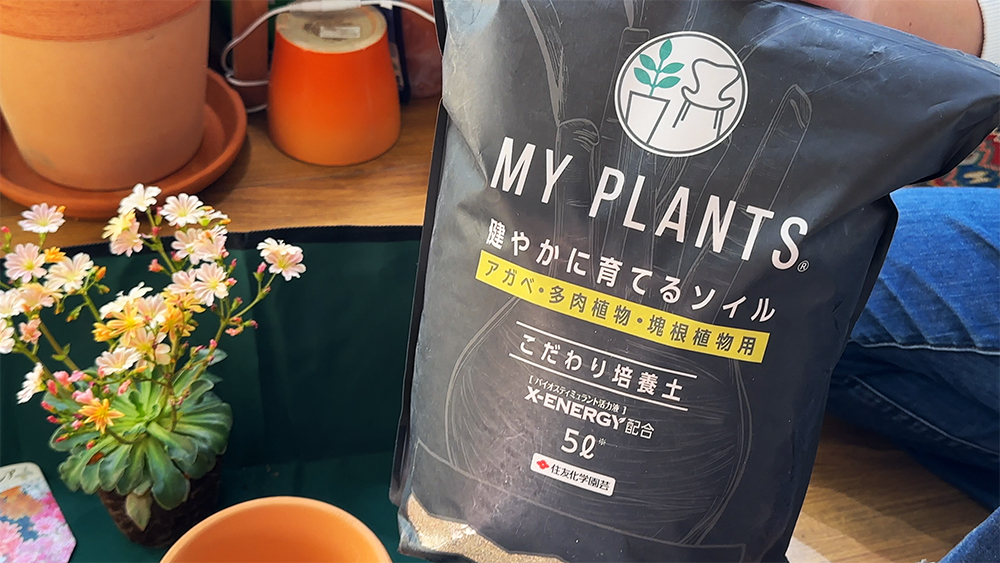 KINCHO園芸 MY PLANTS 多肉植物・塊根植物用培養土