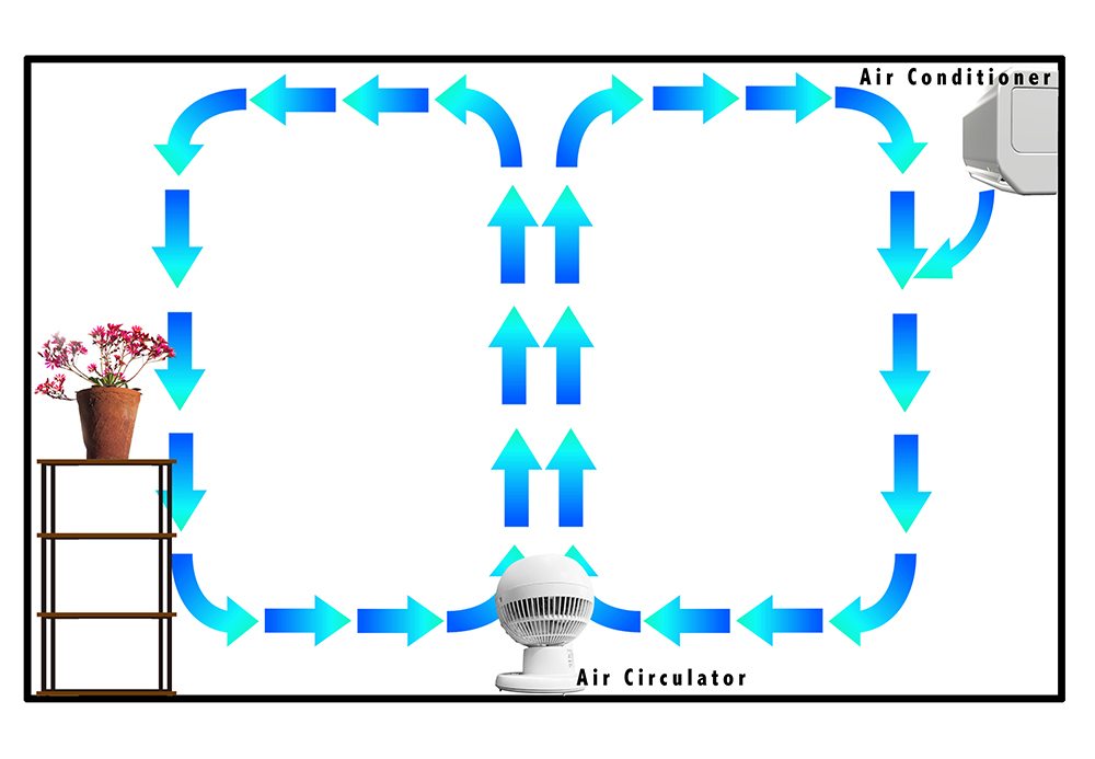 レウィシアがある部屋の風循環イメージ