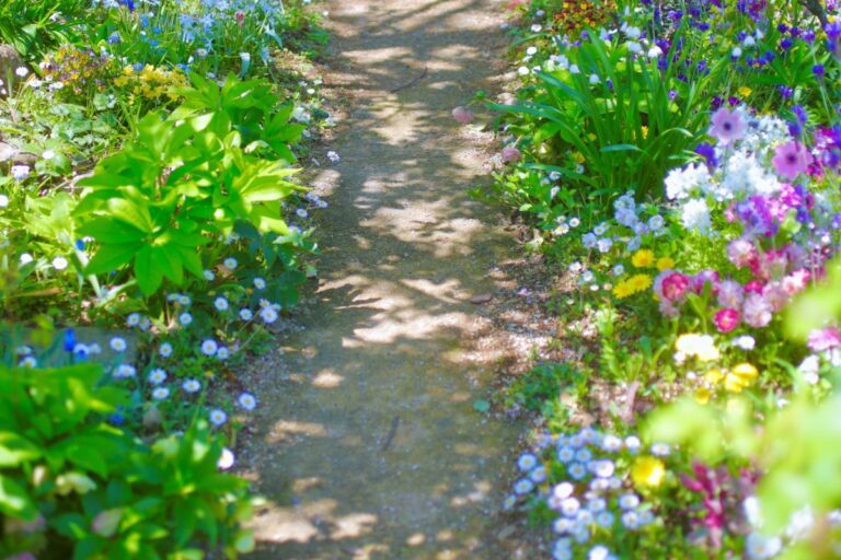 春の庭がぐっと美しくなる理由　白い花木と草花をつなぐ木漏れ日の力