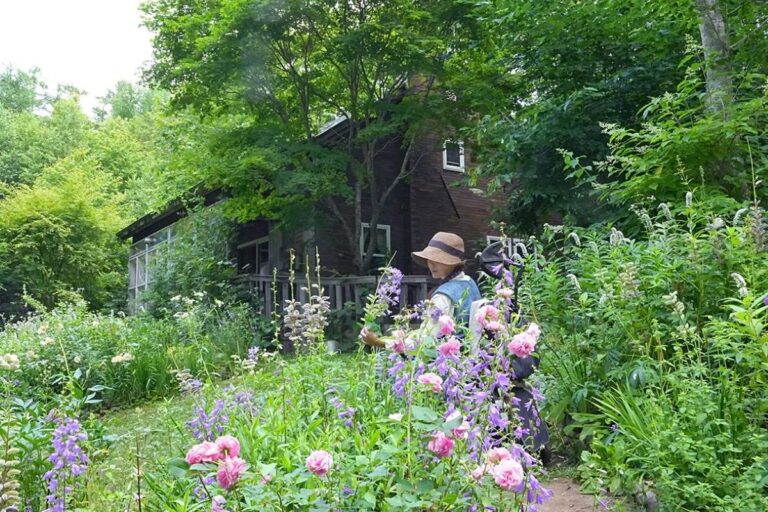 気候変動に揺らぐ庭を、わが家らしいまま守りたい。山崎亮子さんの「森の庭」とバイオマイスター