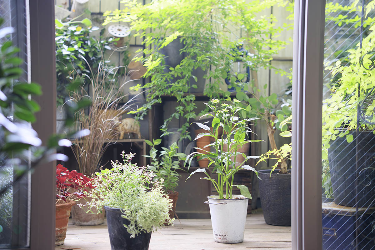 グリーンコーディネーターが指南「私のための癒やし空間」ベランダガーデンに設えるためのアイデア＆おすすめのアイテム！