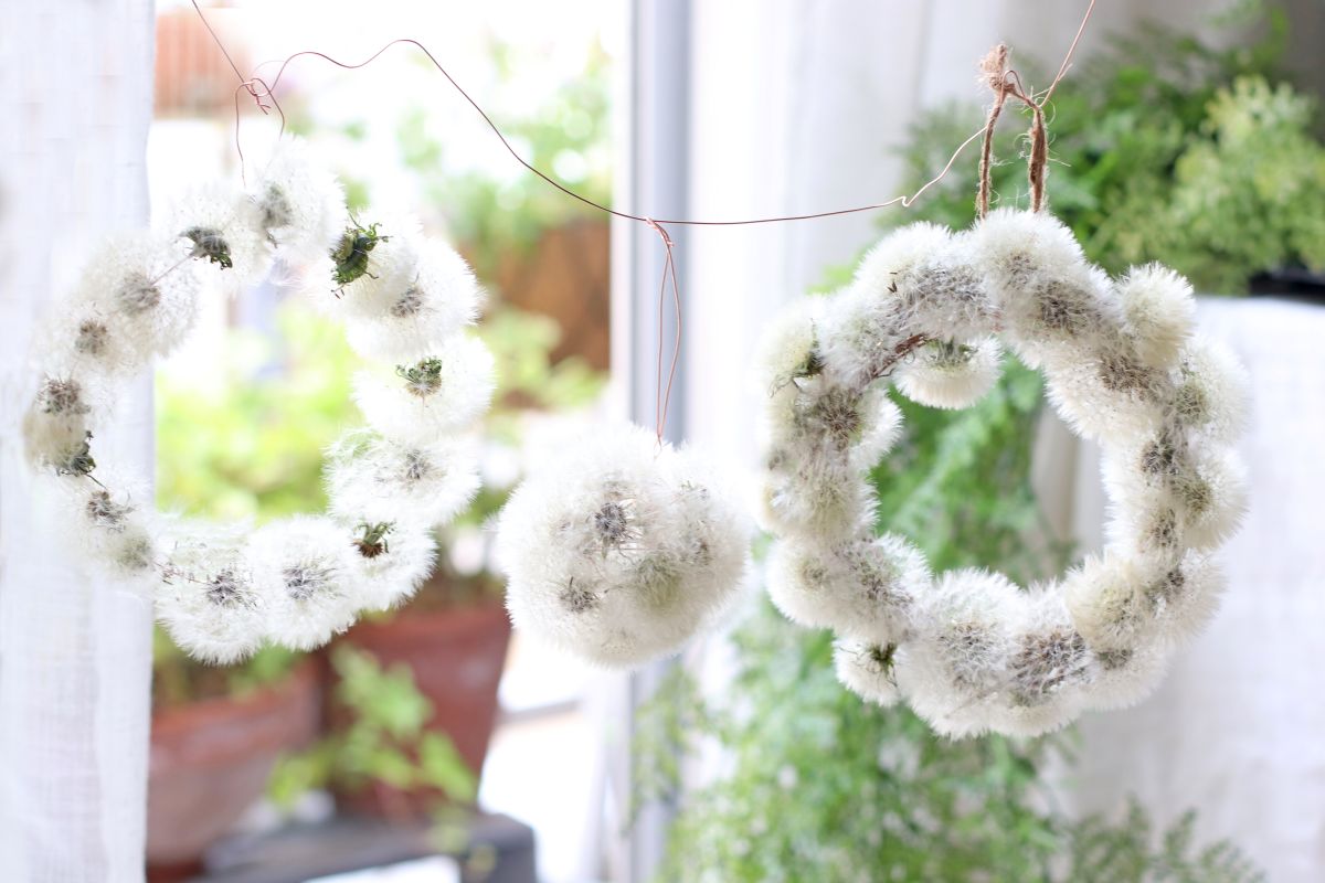 【春限定】タンポポの綿毛が主役！ 100均材料で作る癒やしのリース作り