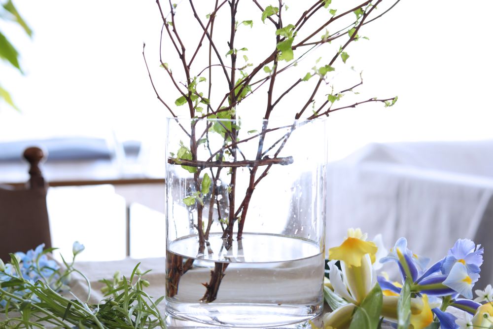 キンバデマリの枝を入れる