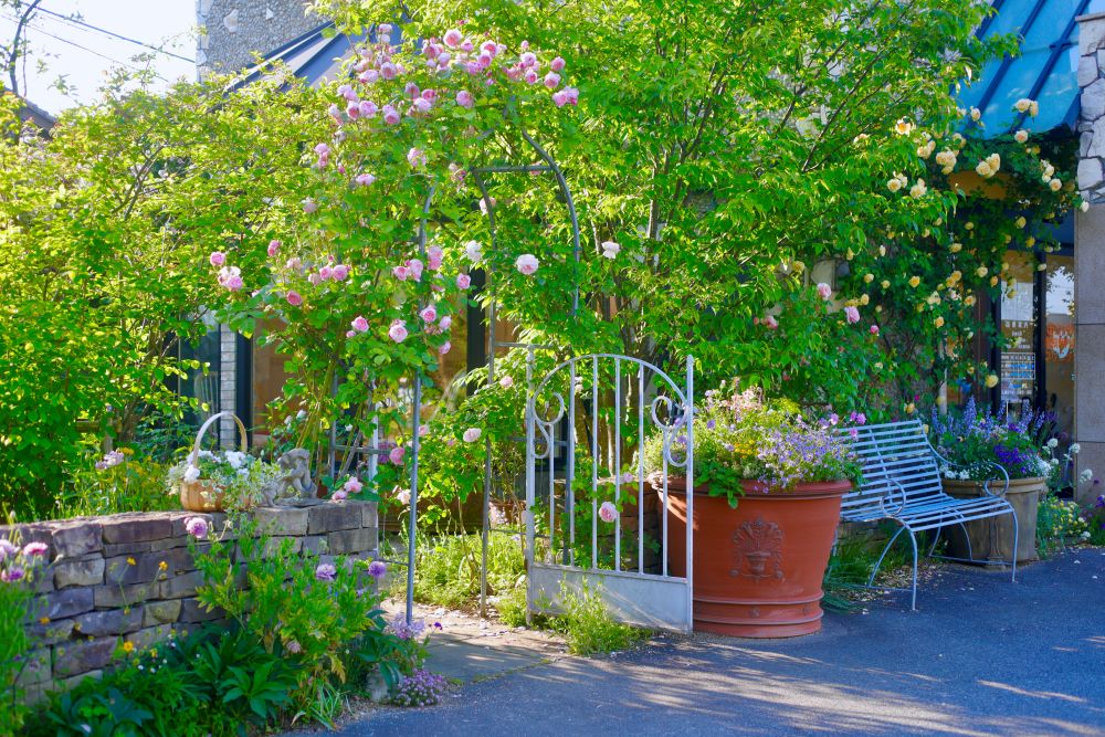 ウワミズザクラ