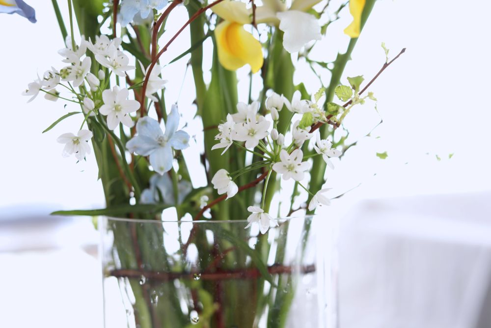 アリウムを入れる