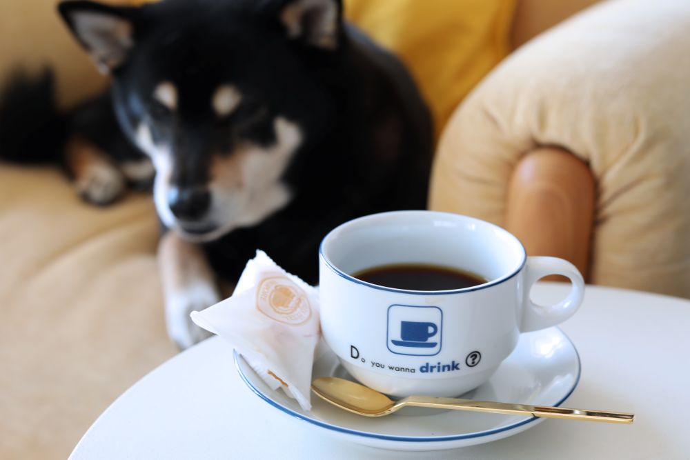 たんぽぽコーヒー