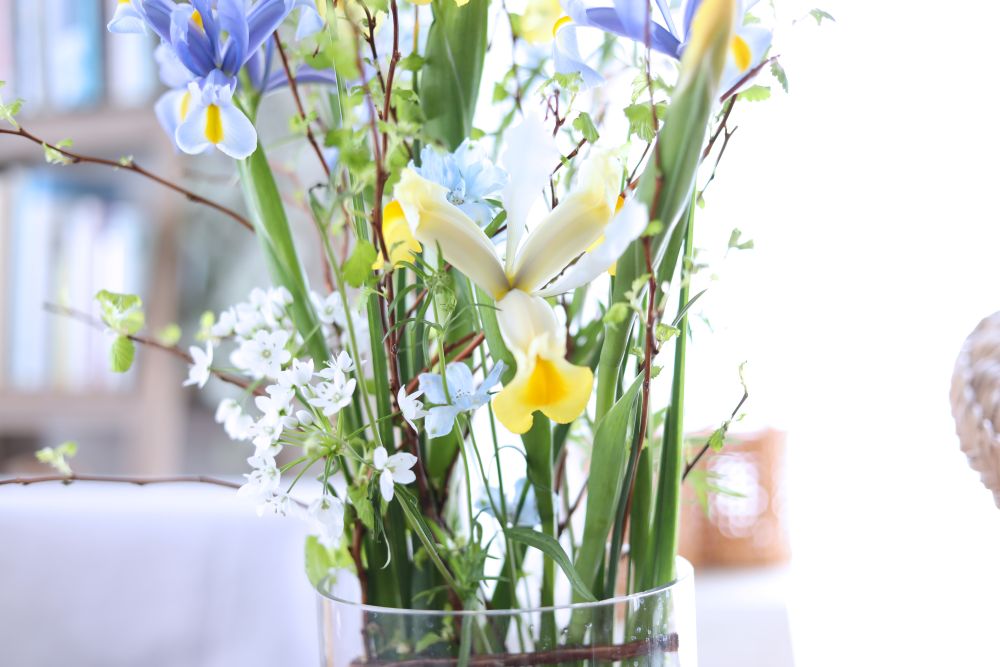 アリウムを入れる