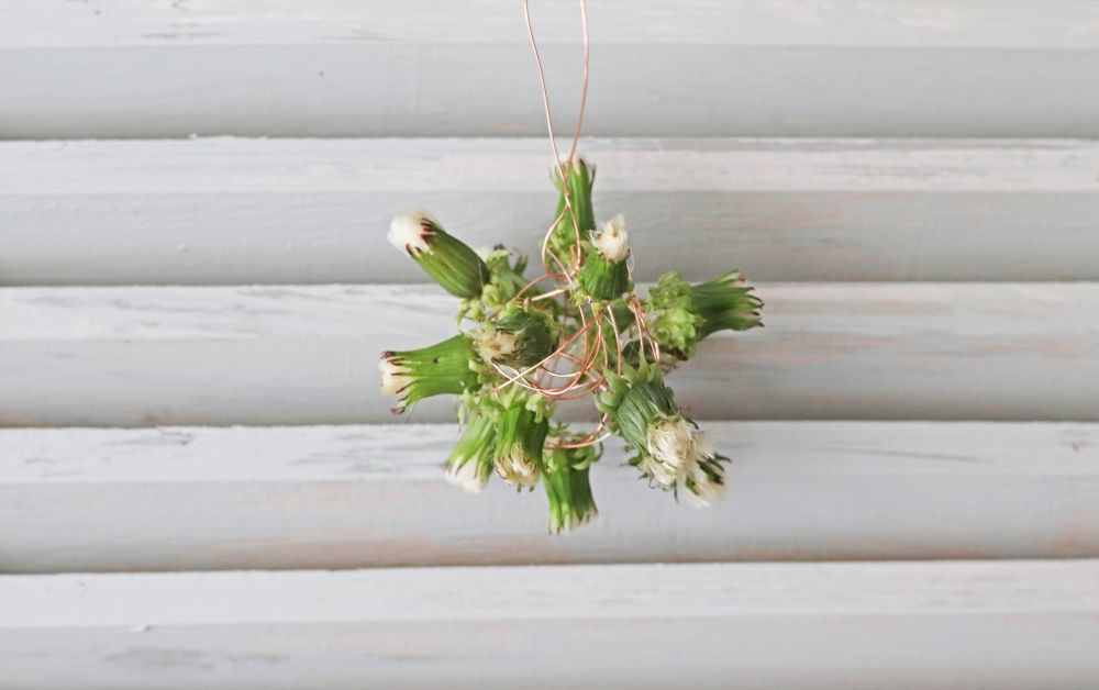 タンポポを付ける