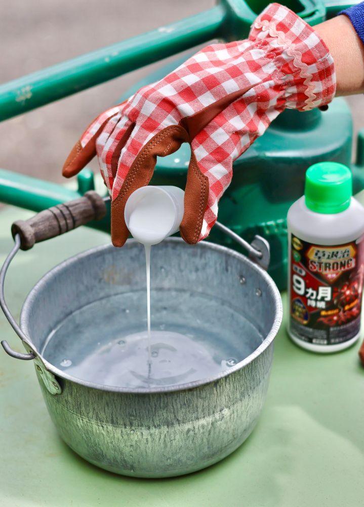 濃縮タイプ「草退治メガロングFL」