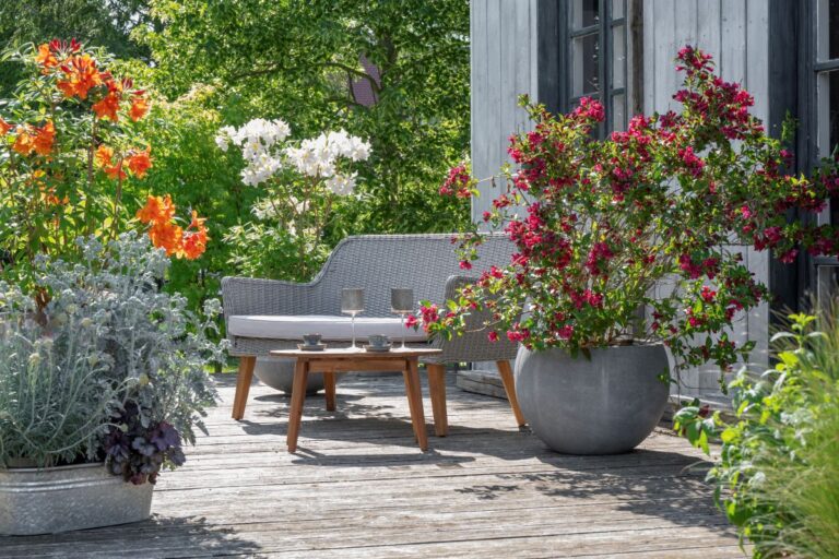 【春から始める庭仕事】おすすめプランツ「ユリ」の植え付け＆後悔しないウッドデッキ計画のポイント