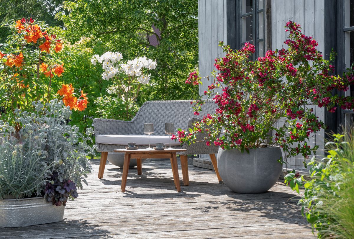 【春から始める庭仕事】おすすめプランツ「ユリ」の植え付け＆後悔しないウッドデッキ計画のポイント