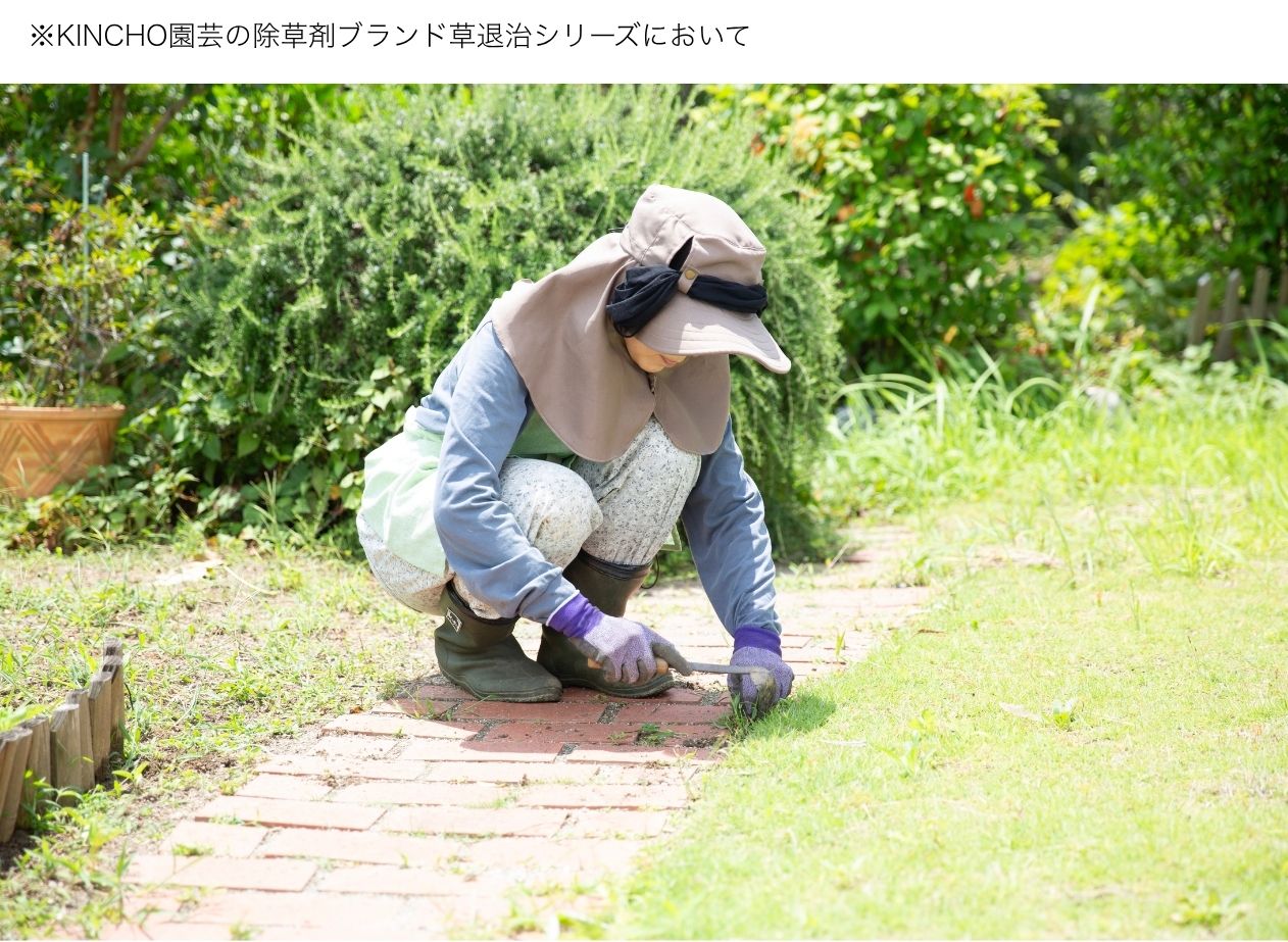 【決定版】春の1回の散布で最長1年間「草むしり」から解放される！ 草退治史上※最強除草剤で叶える“タイパ抜群”雑草知らずの庭管理