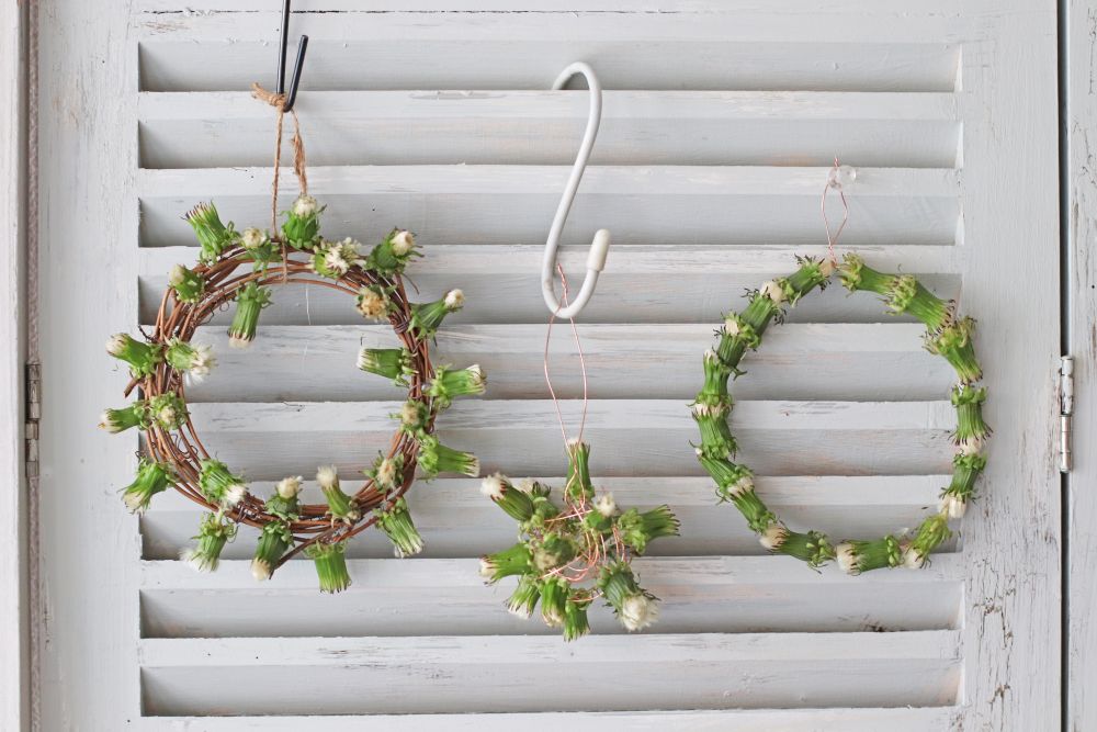 タンポポの綿毛リース