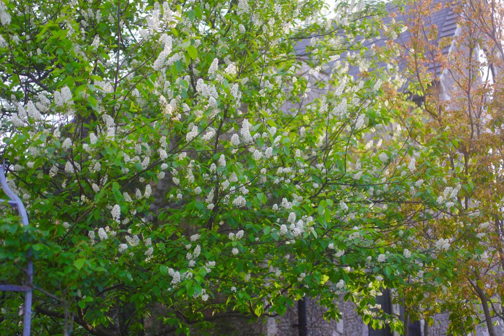 ベイリーズセレクト