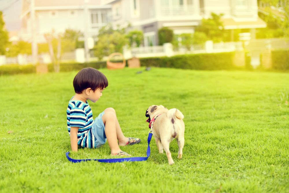 子供とペット