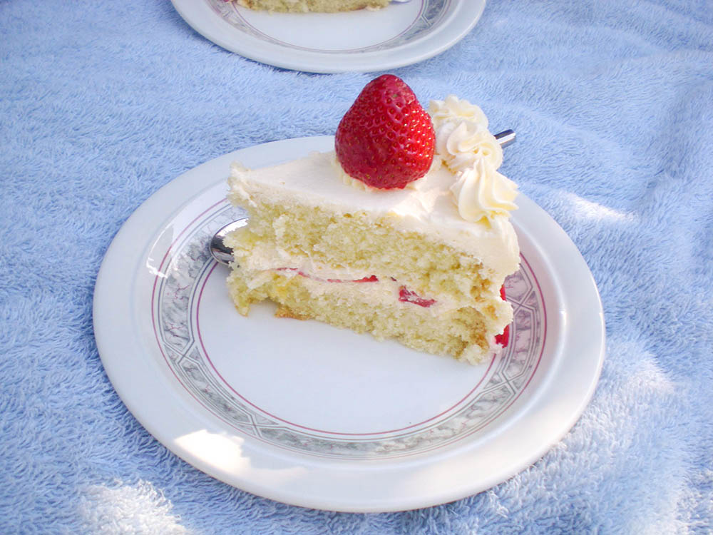 スポンジケーキ