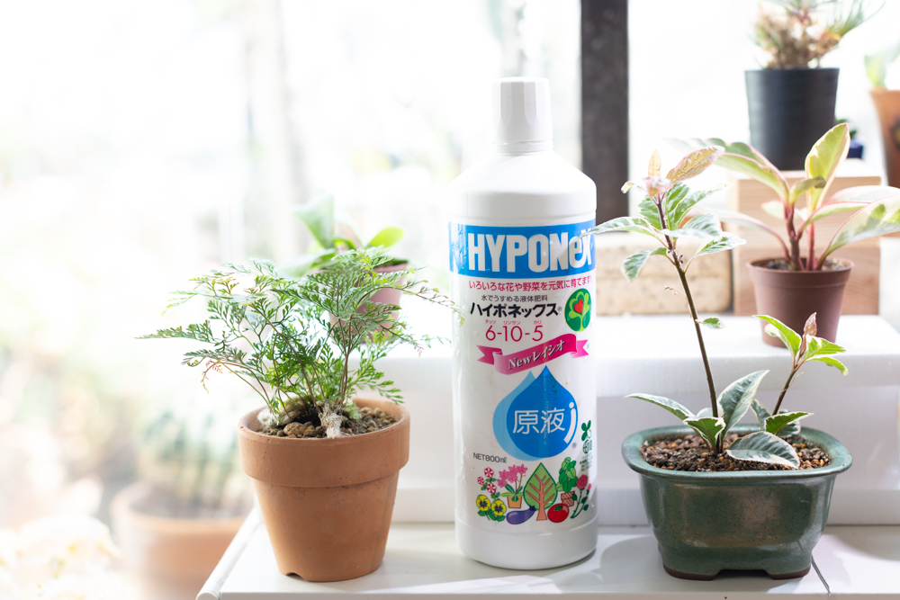 ハイポネックス